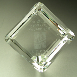 はなちゃんCV53.jpg