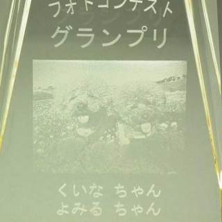 フォトコンテスト1−1.jpg