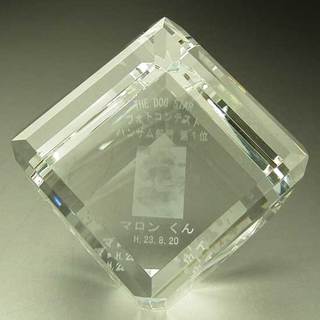 フォトコンテスト2−1.jpg