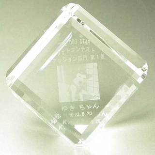フォトコンテスト3−1.jpg